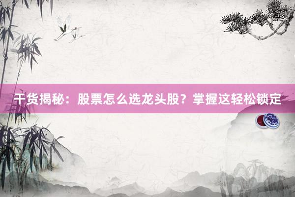 干货揭秘：股票怎么选龙头股？掌握这轻松锁定