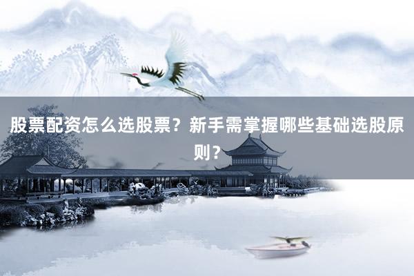 股票配资怎么选股票？新手需掌握哪些基础选股原则？