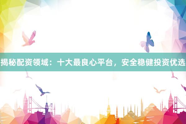 揭秘配资领域：十大最良心平台，安全稳健投资优选